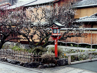 Image showing Gion Lantern In Spring