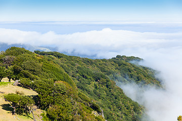 Image showing madeira mountain landscape under a blue sky