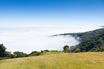 Image showing madeira mountain landscape under a blue sky