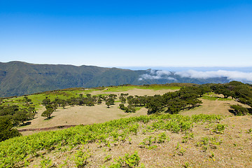 Image showing madeira mountain landscape under a blue sky