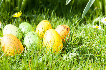 Image showing colored Easter eggs hidden in flowers and grass