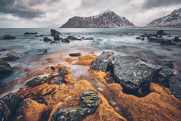 Image showing Rocky coast of fjord in Norway