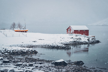 Image showing Red rorbu house in winter, Lofoten islands, Norway