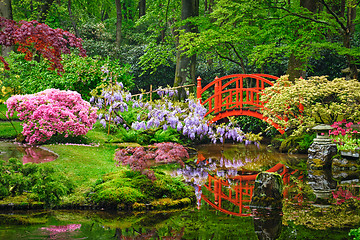 Image showing Japanese garden, Park Clingendael, The Hague, Netherlands