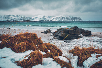 Image showing Lofoten islands landscape