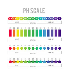 Image showing pH meter for measuring acid alkaline balance. Vector infographics in the circle form with pH scale