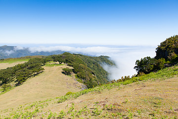 Image showing madeira mountain landscape under a blue sky