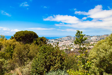 Image showing panoramic view of Funchal in Madeira