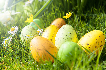 Image showing colored Easter eggs hidden in flowers and grass