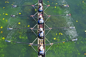 Image showing Four Womens rowing team on blue lake, Aerial view