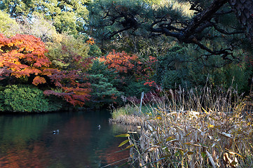 Image showing pond