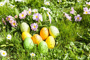 Image showing colored Easter eggs hidden in flowers and grass