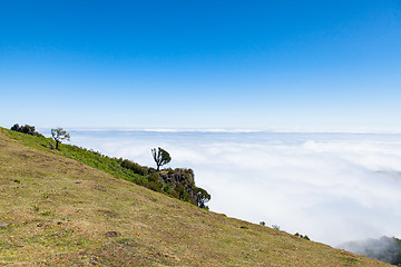 Image showing madeira mountain landscape under a blue sky