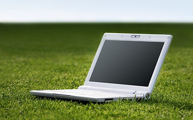 Image showing white laptop in nature