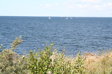 Image showing Swedish coastline