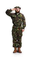 Image showing Young army soldier wearing camouflage uniform isolated on white