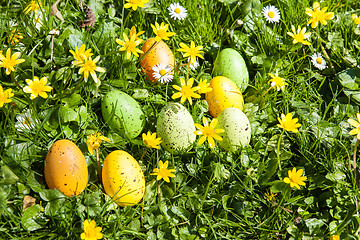 Image showing colored Easter eggs hidden in flowers and grass