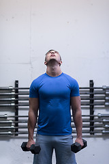 Image showing weight training fitness man