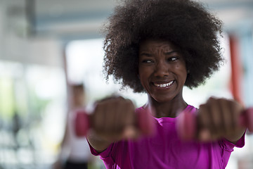 Image showing woman working out in a crossfit gym with dumbbells