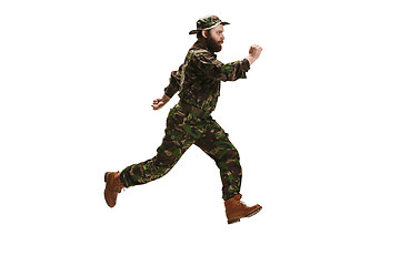 Image showing Young army soldier wearing camouflage uniform isolated on white