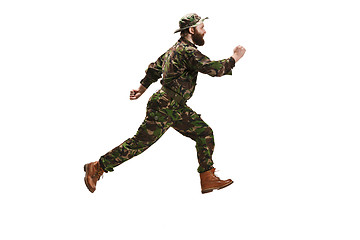 Image showing Young army soldier wearing camouflage uniform isolated on white