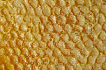 Image showing Real Capped Honeycomb macro