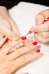 Image showing The esthetician decorates with flowers the nails of the hands of the client