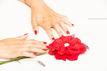 Image showing Hands of a woman with red nail polish posed by an esthetician