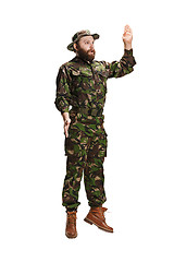 Image showing Young army soldier wearing camouflage uniform isolated on white