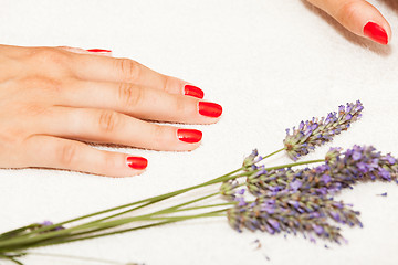 Image showing Hands of a woman with red nail polish posed by an esthetician