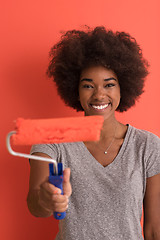 Image showing black woman painting wall