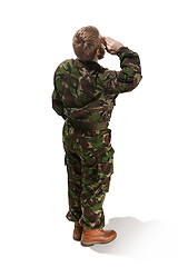 Image showing Young army soldier wearing camouflage uniform isolated on white