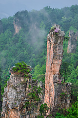 Image showing Zhangjiajie mountains, China