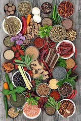 Image showing Spice and Herb Collection