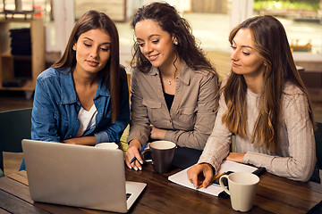 Image showing Girls studying