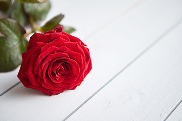 Image showing Fresh red rose flower on the white wooden table