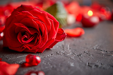 Image showing Red rose, petals, candles, dating accessories, boxed gifts, hearts, sequins