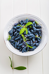 Image showing Delicious and healthy honeyberry (lonicera)