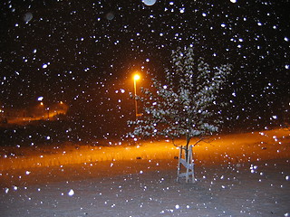 Image showing Snow