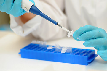 Image showing Working in the laboratory