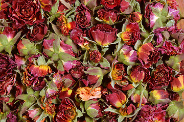 Image showing Dried flowers