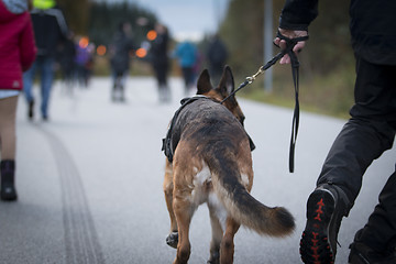 Image showing Marching with Torches