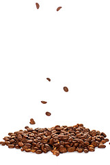 Image showing Coffee beans