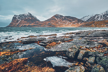 Image showing Rocky coast of fjord in Norway