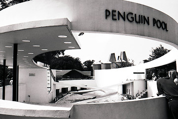 Image showing Penguin Pool