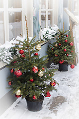 Image showing Decorated Christmas trees on street covered in snow.