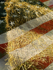 Image showing American country background