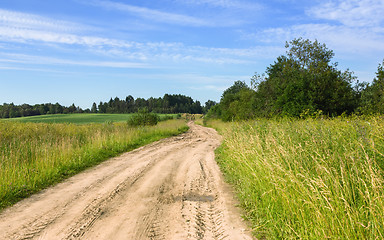 Image showing Summer Rural Landscape With A Country Road In the Field