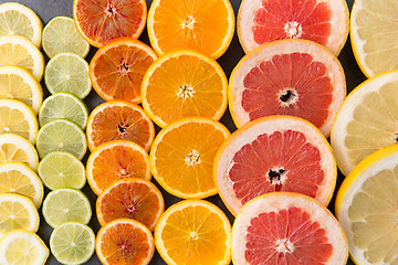 Image showing close up of different citrus fruit slices