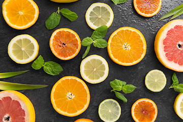 Image showing close up of different citrus fruit slices